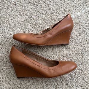 Vionic EUC wedge pump